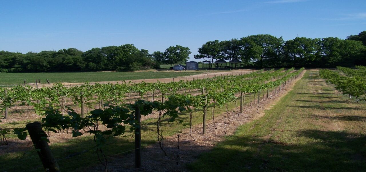 Our Story Fruit Hills Winery and Orchard in Bristol, Indiana